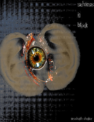 Echoes In Black