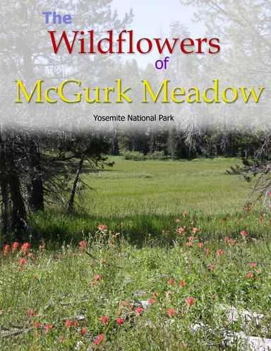 Wildflowers of McGurk Meadow