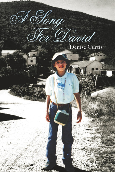 A Song For David (Paperback)