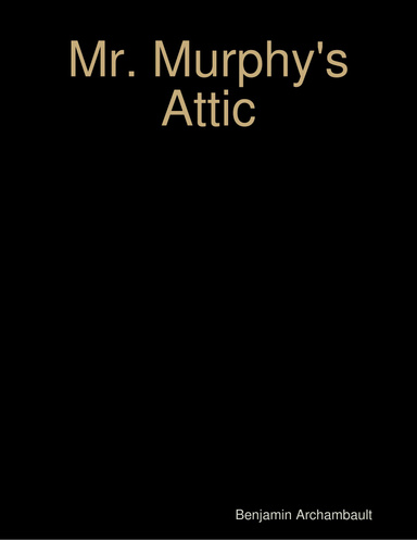 Mr. Murphy's Attic