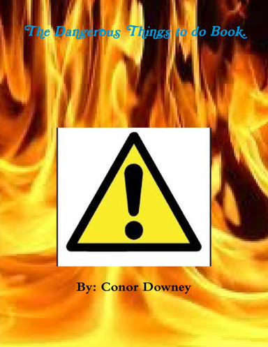 The Dangerous Things to do Book.