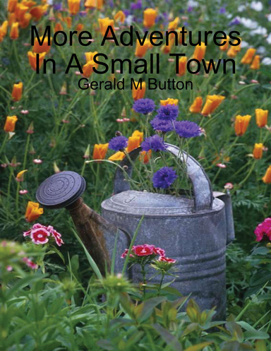 "More Adventures In A Small Town"