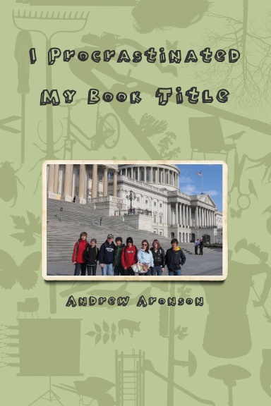 I Procrastinated My Book Title