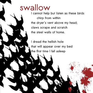 swallow