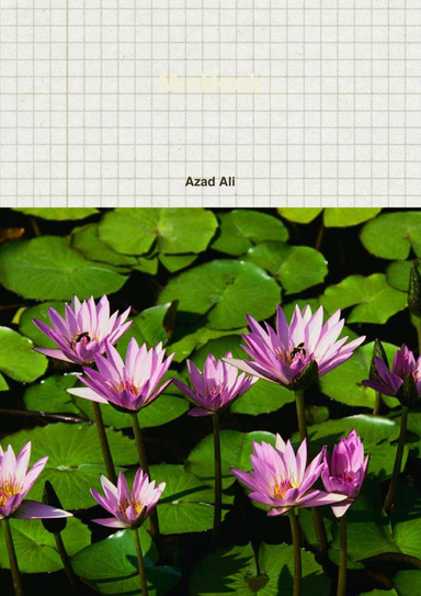 MinBook