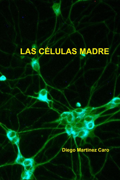 LAS CÉLULAS MADRE