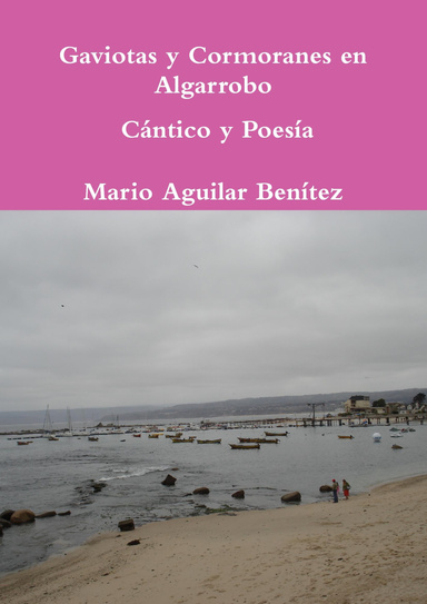 Gaviotas y Cormoranes en Algarrobo: Cántico y Poesía