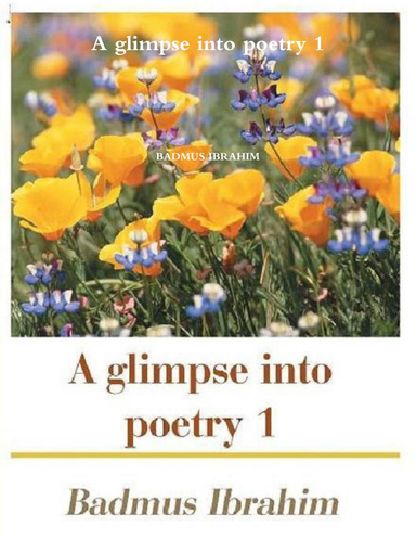 A glimpse into poetry 1