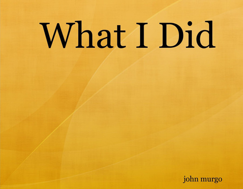 What I Did