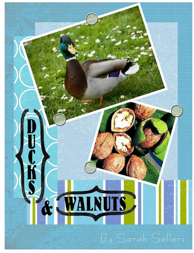 Ducks and Walnuts