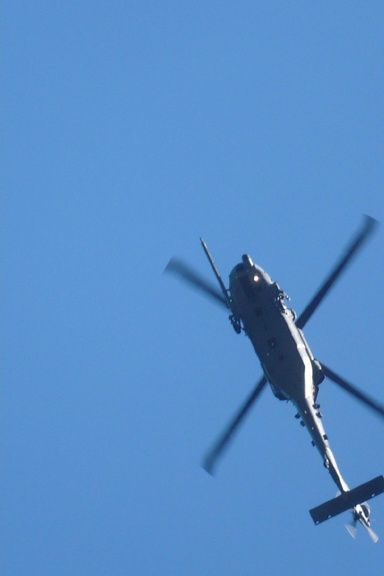 Enduring Freedom