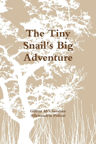 The Tiny Snail's Big Adventure