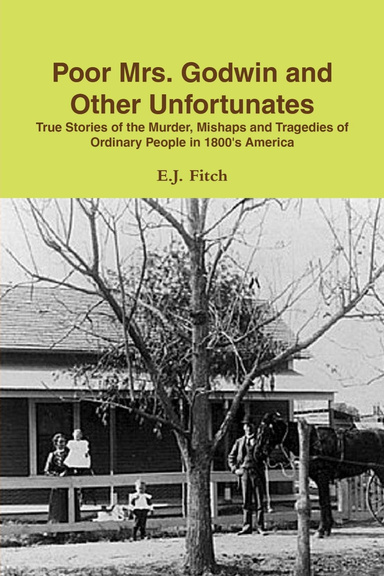 Poor Mrs. Godwin and Other Unfortunates