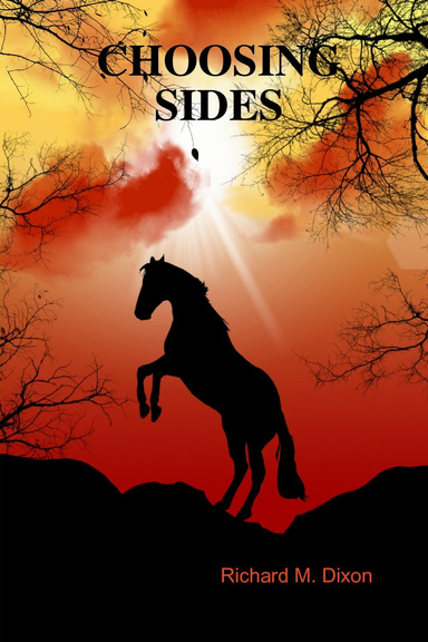 CHOOSING SIDES