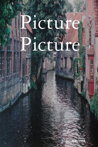Picture Picture