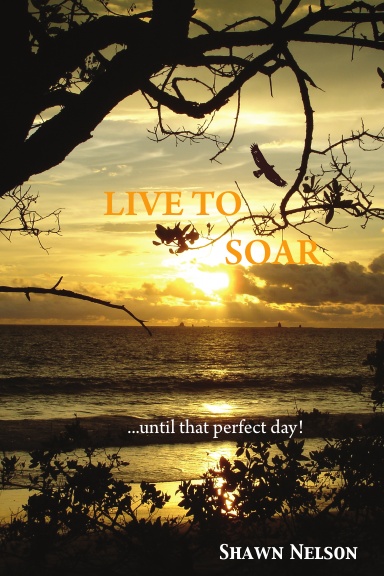 Live to Soar (Paperback)
