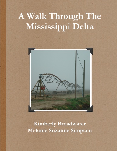 A Walk Through The Mississippi Delta