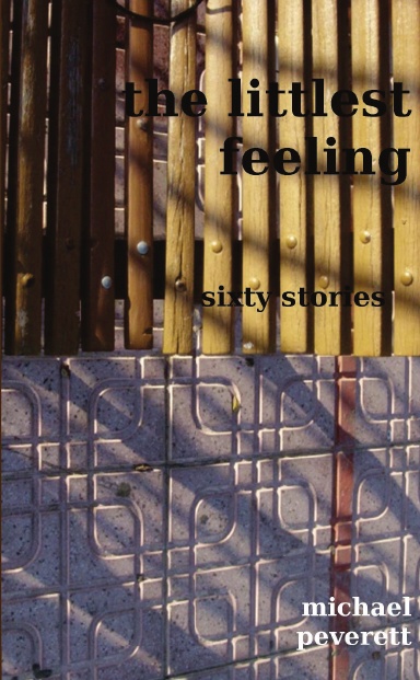 The Littlest Feeling (paperback)