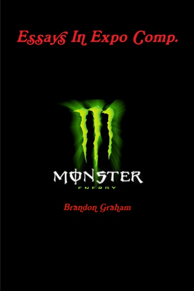 Essays In Expo Comp.