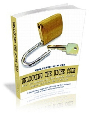 Unlocking the Niche Code - Niche Marketing