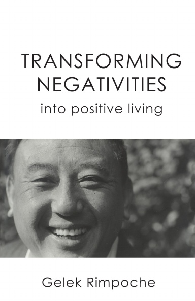 Transforming Negativities