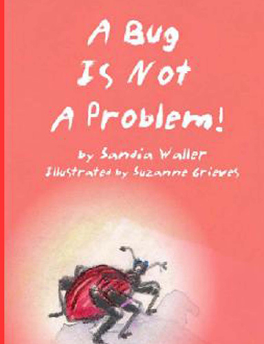 A Bug Is Not A Problem