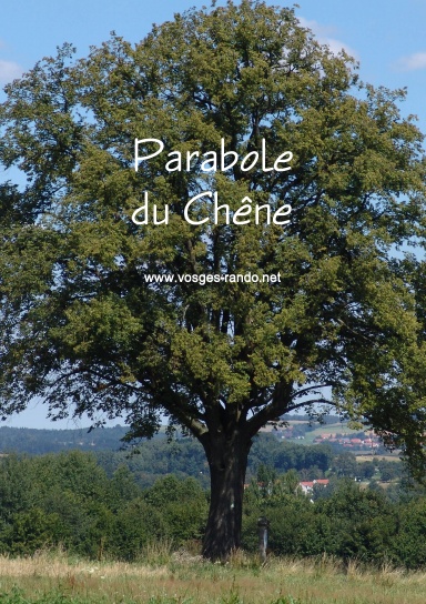 Parabole du Chêne