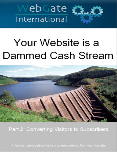 Your Website is a Dammed Cash Stream - Part 2