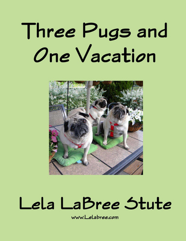 Three Pugs and One Vacation