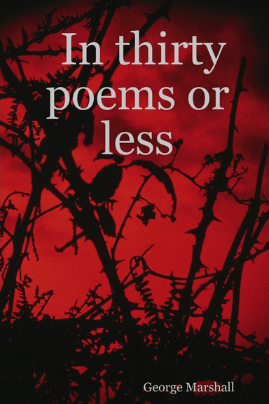 In thirty poems or less