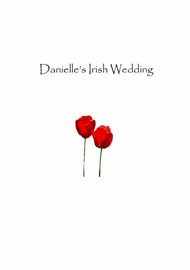Danielle's Irish Wedding