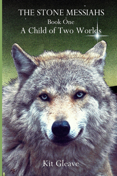 The Stone Messiahs - Book One - A Child of Two Worlds