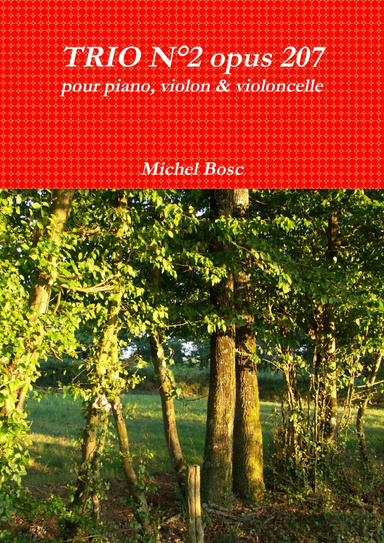 TRIO N°2 opus 207