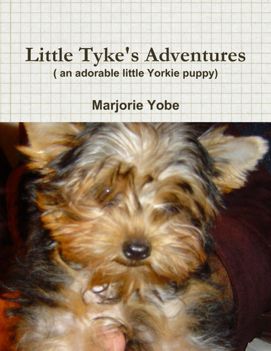 Little Tyke's Adventures