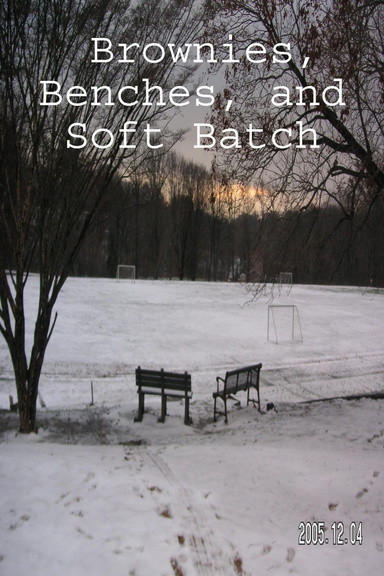 Brownies, Benches, and Soft Batch