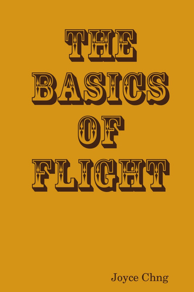 The Basics of Flight