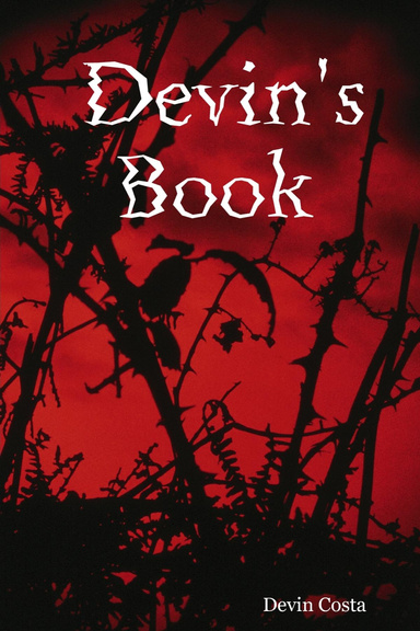 Devin's Book