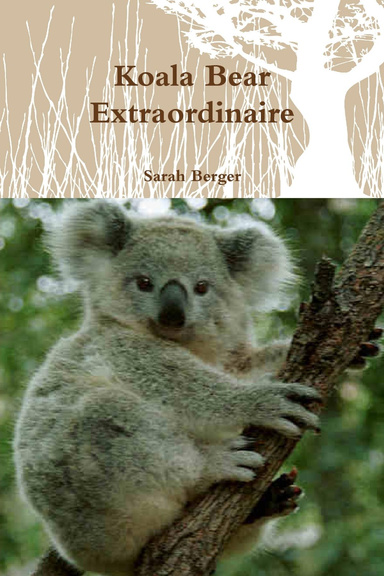 Koala Bear Extraordinaire