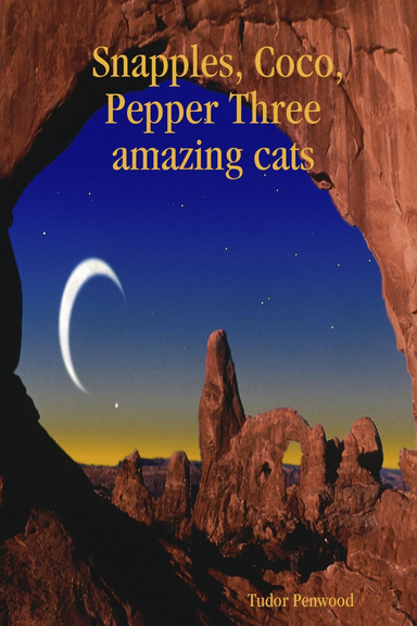 Snapples, Coco, Pepper Three amazing cats