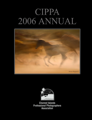 CIPPA Annual