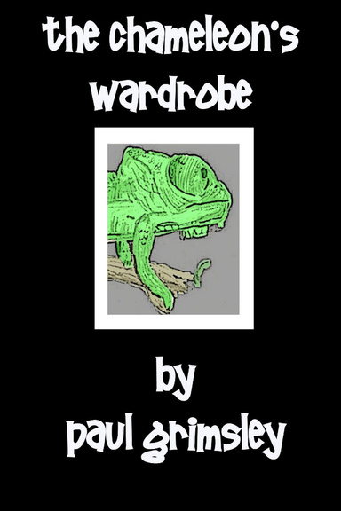 the chameleon's wardrobe