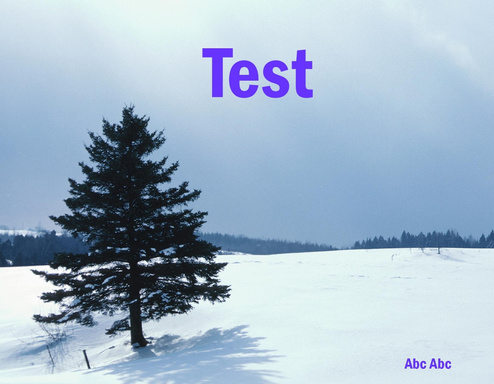 Test