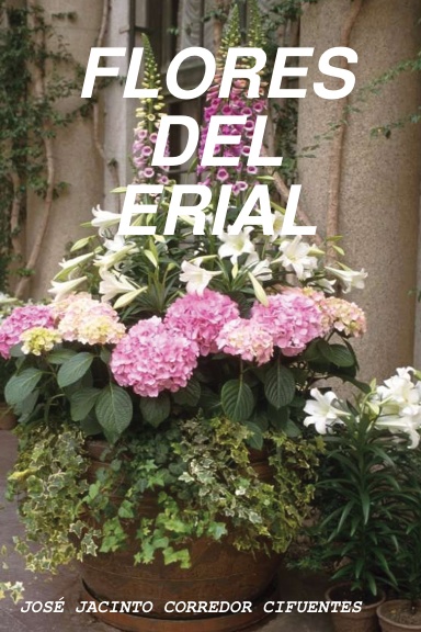 FLORES DEL ERIAL