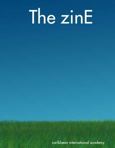 The zinE