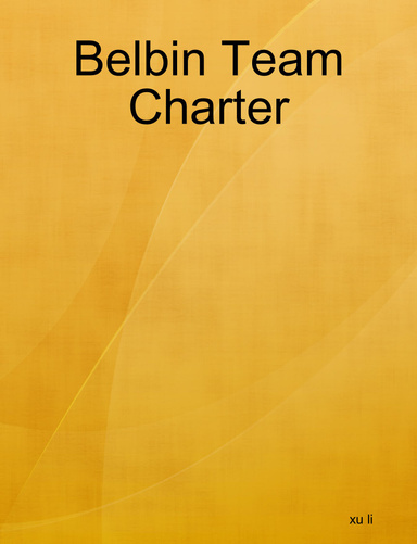 Belbin Team Charter