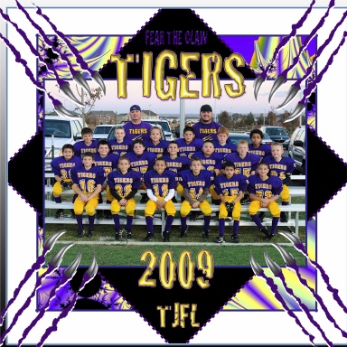 2009 Tigers