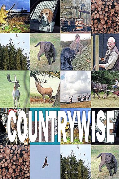 COUNTRYWISE