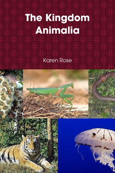 The Kingdom Animalia