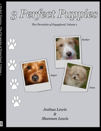 3 Perfect Puppies