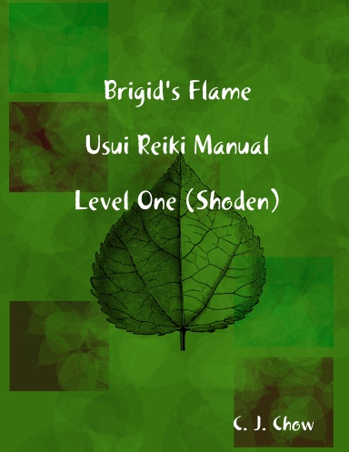 Brigid's Flame Usui Reiki Manual Level One (Shoden)